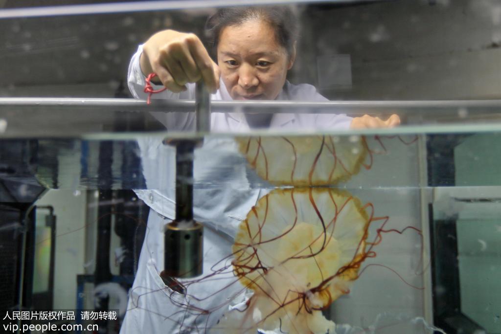 2019115ɽ|_L󹫈@ĹˆTzyˮĸеˮ