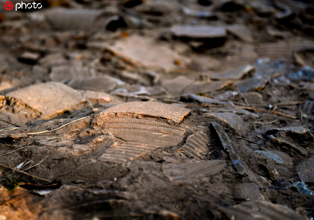 u_zַŰllF؝hrˮϵy11