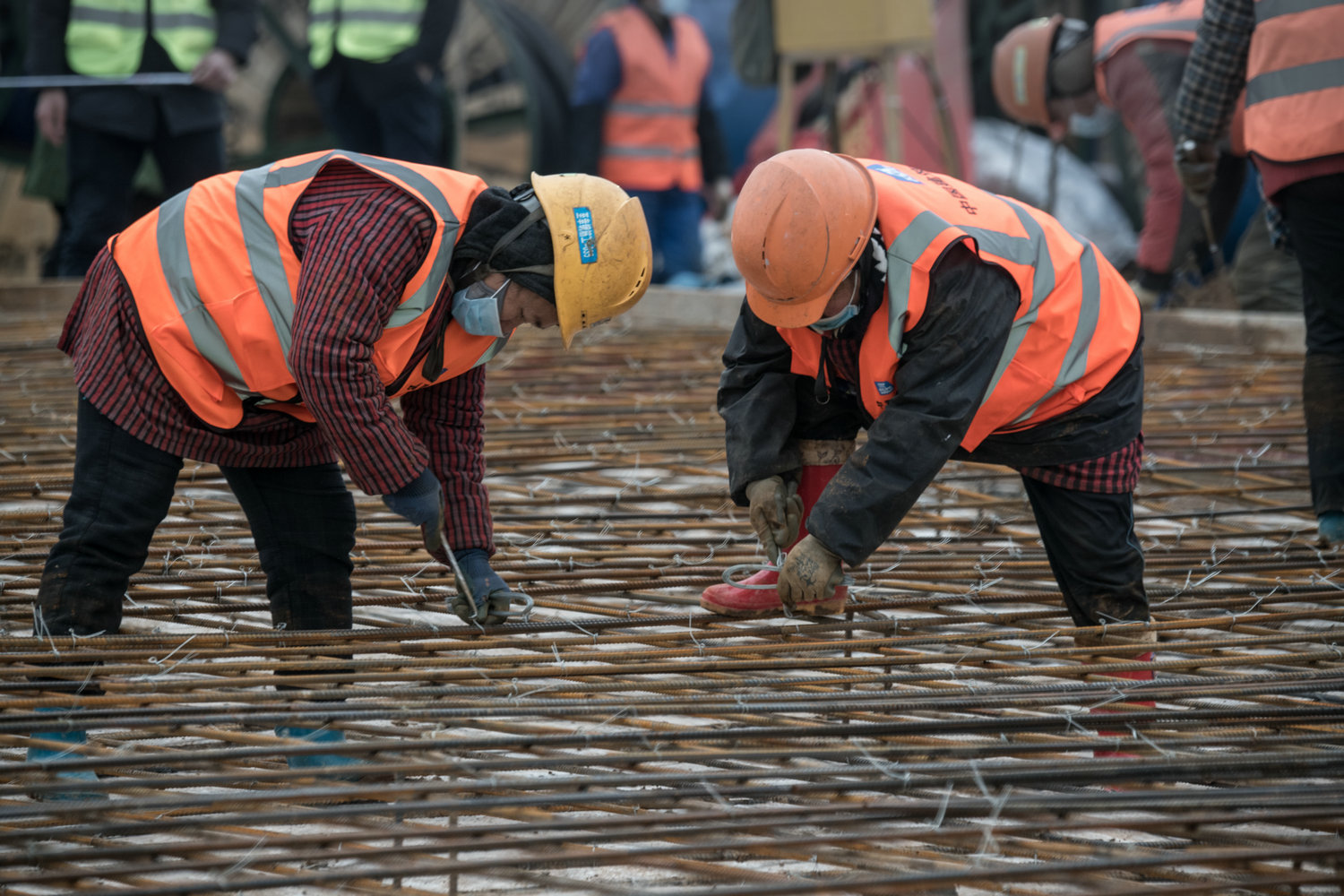 7.126ɽtԺFSٔzӰ