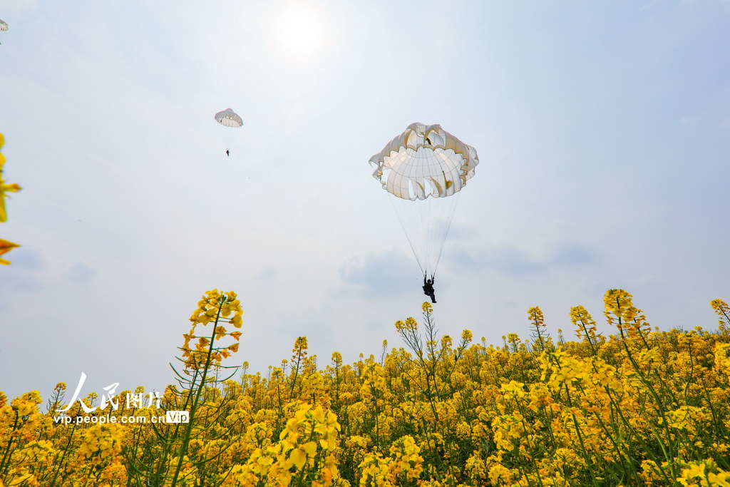 ֱ���v����܊�ս���ĳ�Â㽵Ӗ����8��