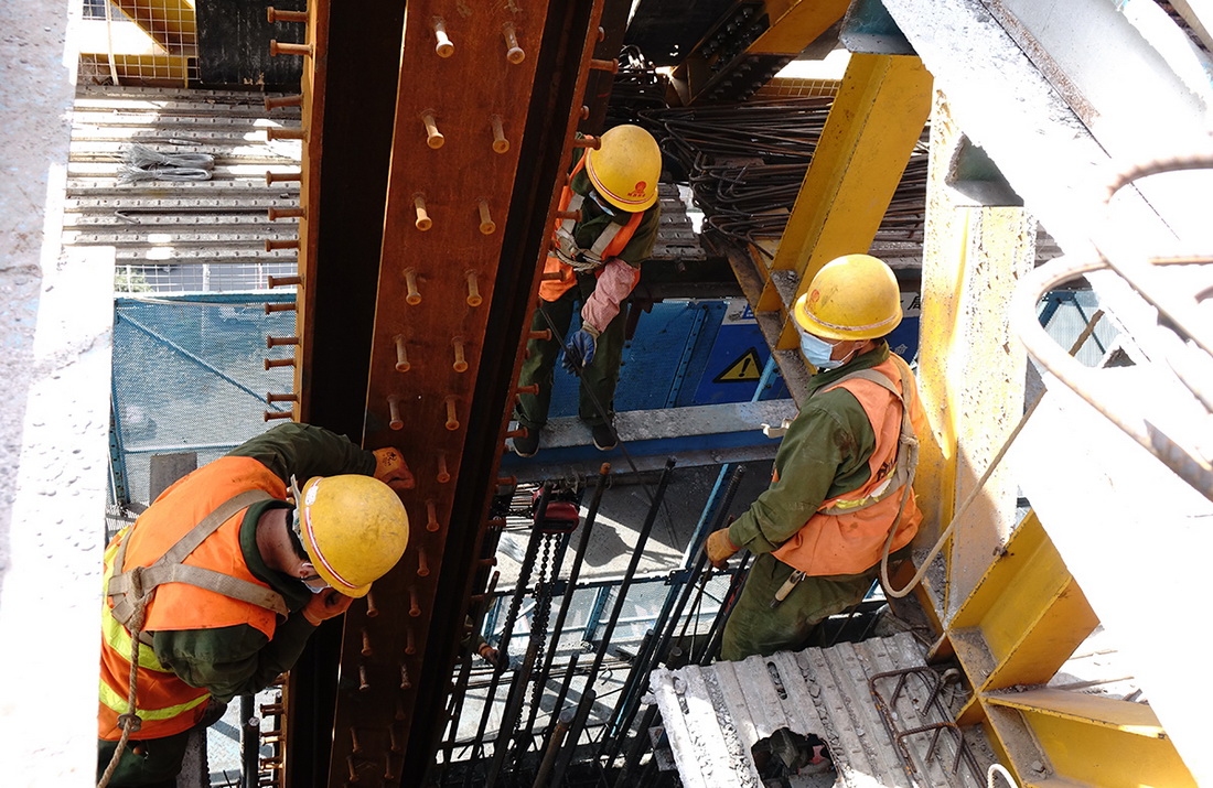 8.319Ї߹̾֘sĿ؏͹F˂M䓽Iɽ z