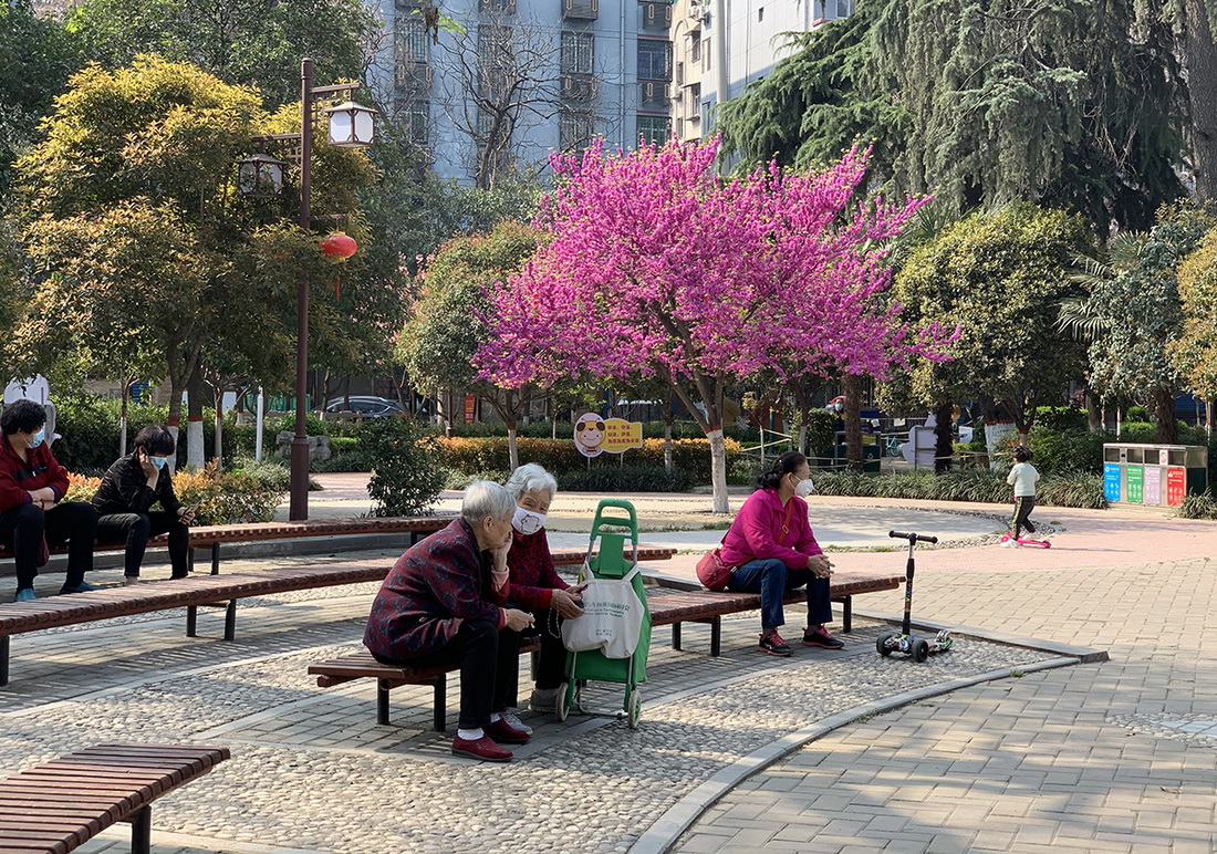 20.324ڃͯ@Lϕ̫ɽ z