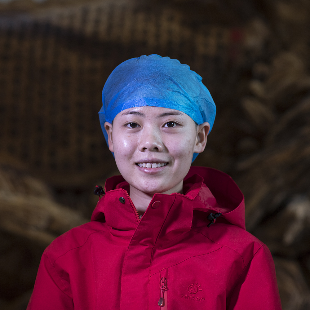 3.η 23q ؑctǿtԺ ذYtW