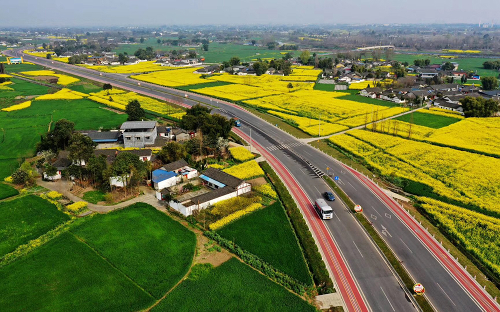 曙光初現 別樣春天｜四川省女攝影家協會攝影作品選