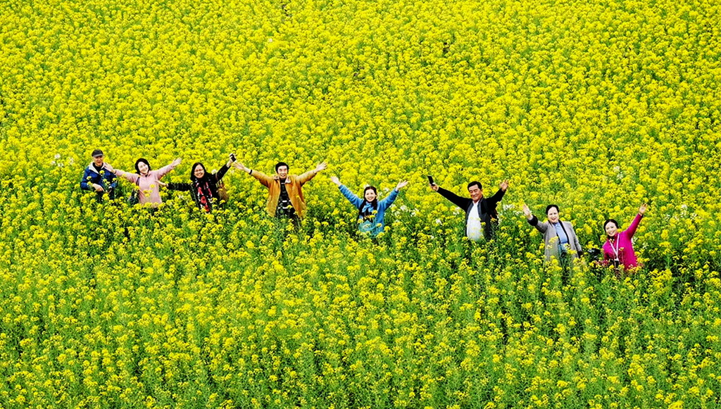 23.F eӴĴʡŮzӰ҅fzӰƷx