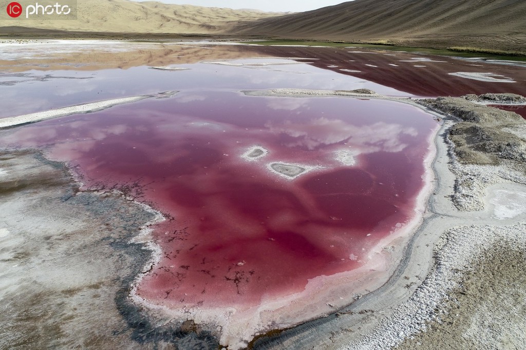 ɹŰƬFpɫ һɳĮ[H8