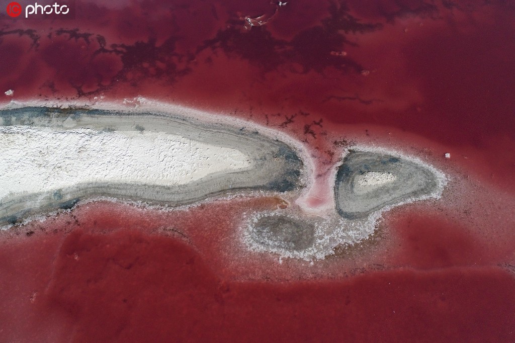 ɹŰƬFpɫ һɳĮ[H7