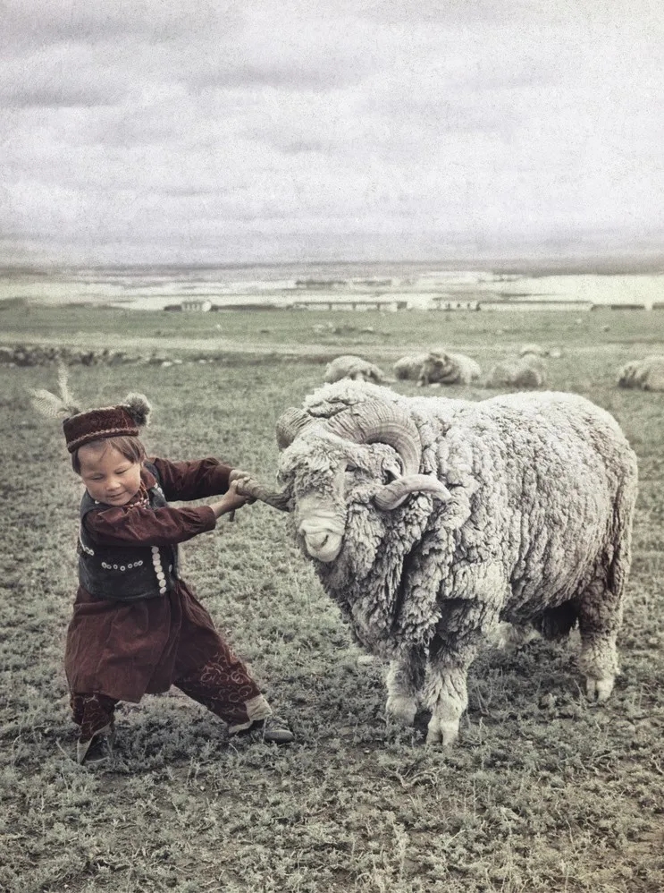 ߡ1960½ţη z