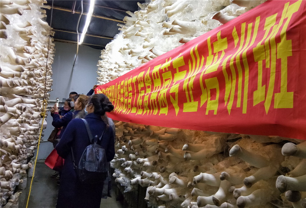 11.20193|ʿhWTڹS^