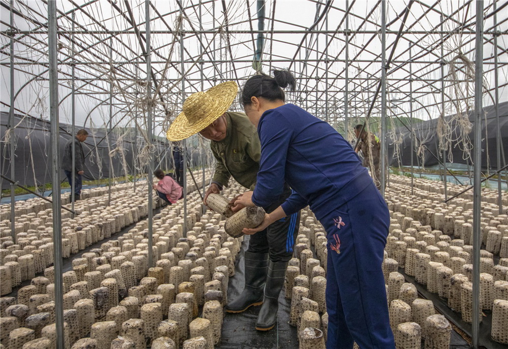 12.PָNֲļg톖}