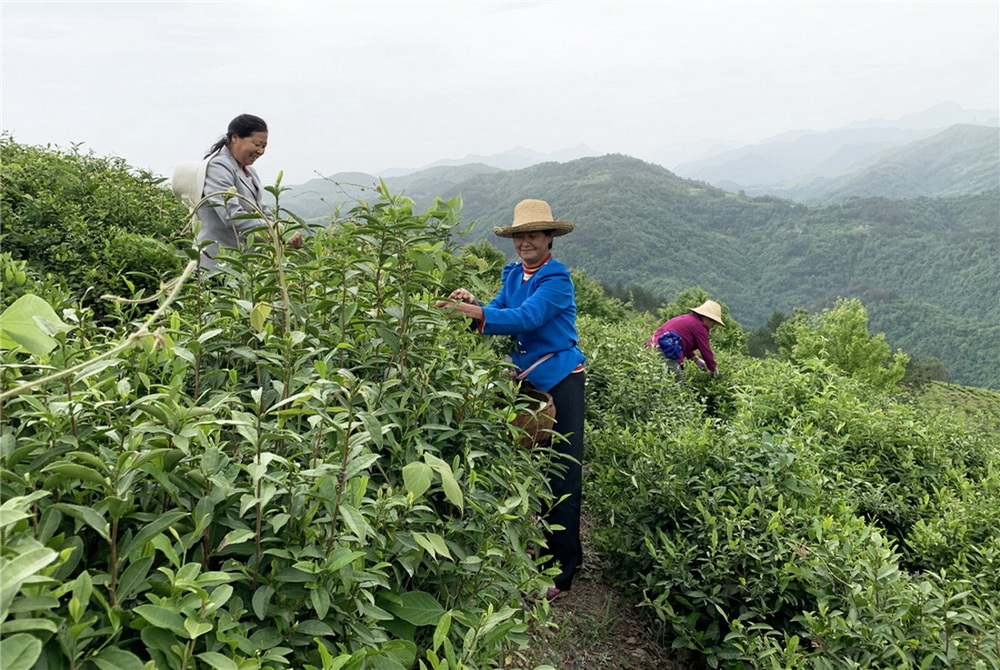 2.2020511rYƺ@ɲ