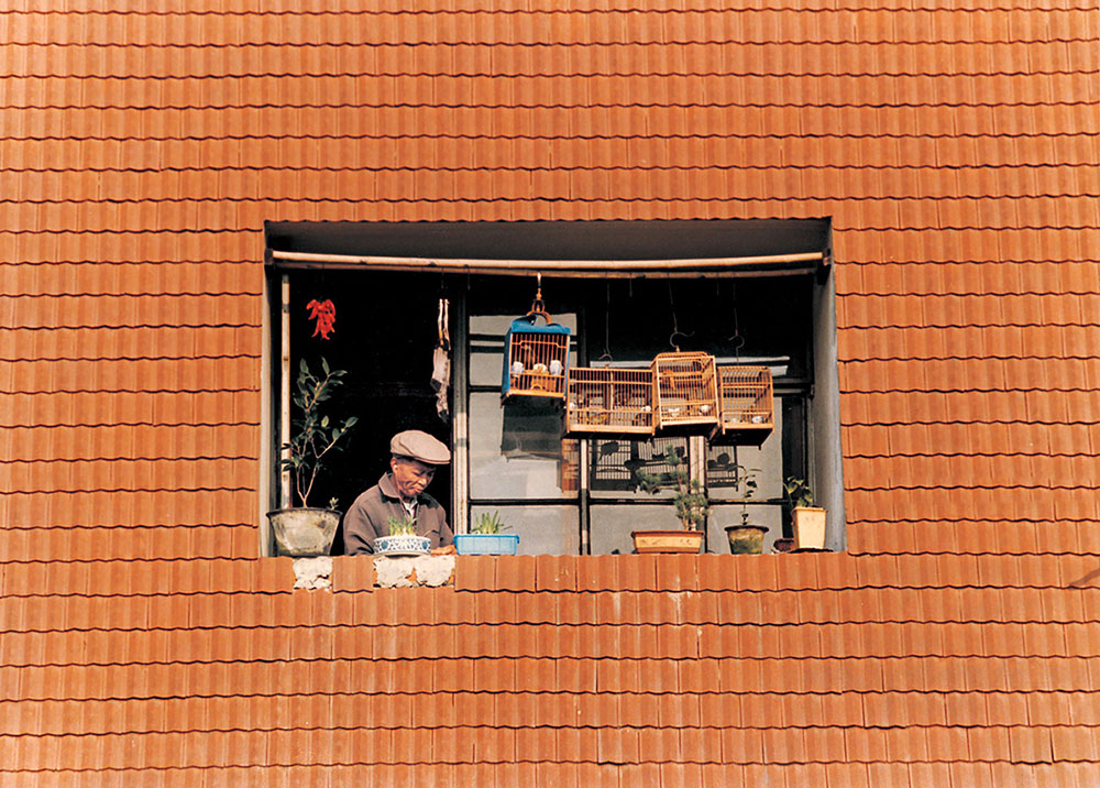 25.С1994z֖|·120̖ԭЅ^깫Ԣ