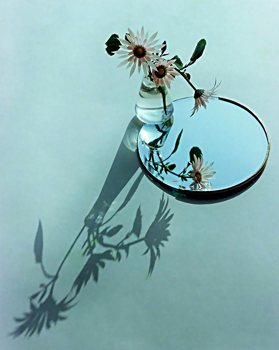 17.Ӱo@1985ꡰĿеAȫӰչ㪄