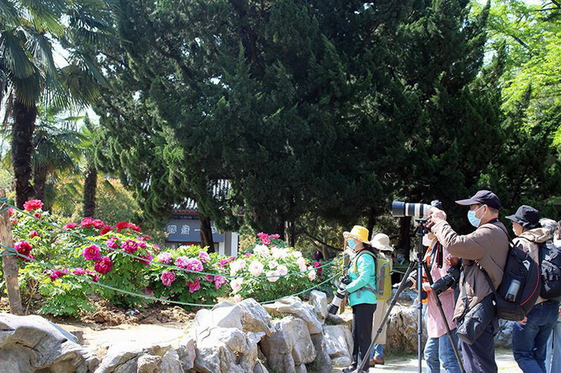 36.20204¹ڷеϾֹ@f z