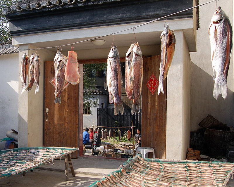 32.2008~fzKЅЅ^⸣