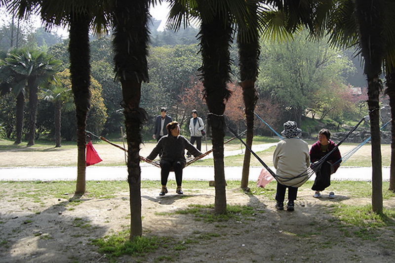 31.2005WġfzϾֹ@