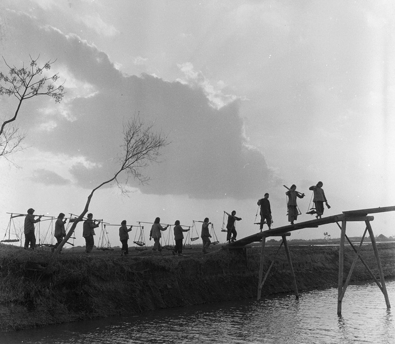 16.1965hߵ鹫ܶaTӭϼwȥrڄf z