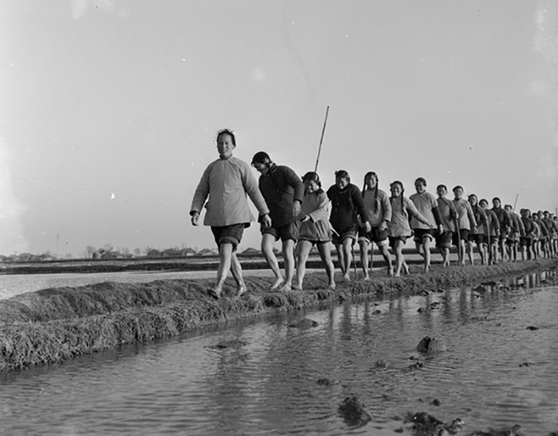 13.1962KʡhСoDŮ܊f z