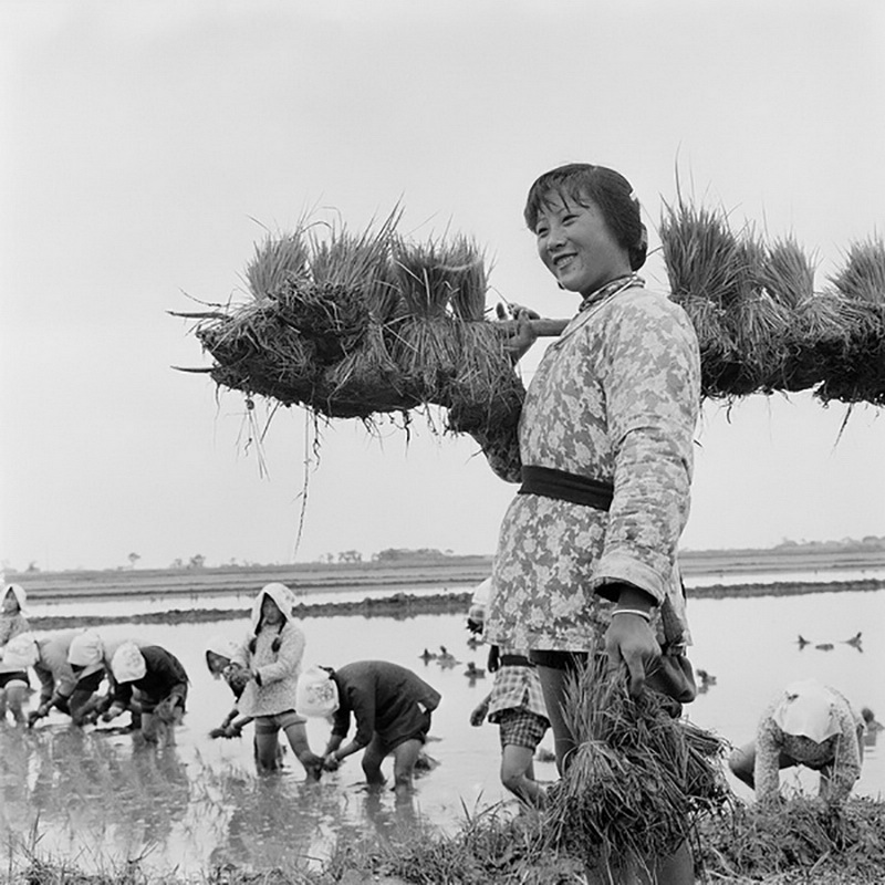 15.1964KʡhԹ眫ŮuTͲf z