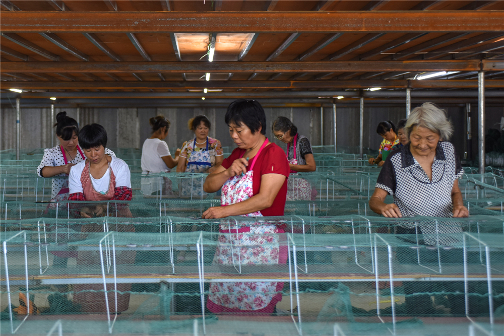 20169ˮhƽl؋DŮĻذѰƷIؼԼTǰMоӹڼTֲӰ푒X܏VDŮgӭ