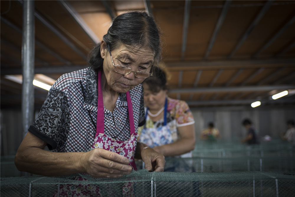 20169ˮhƽl؋DŮĻذѰƷIؼԼTǰMоӹڼTֲӰ푒X܏VDŮgӭ