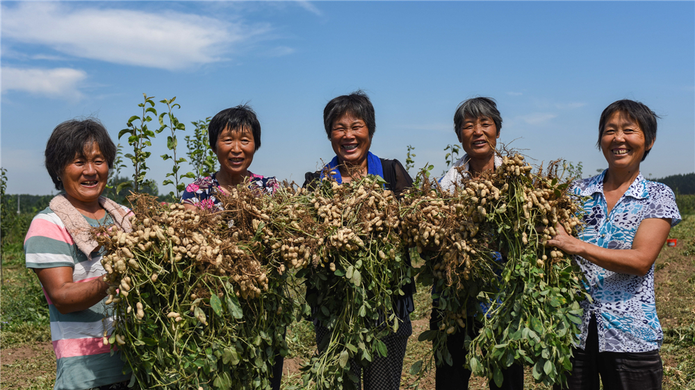 20169ˮh悵Ĵի@