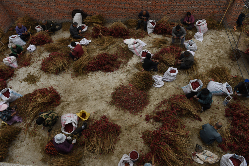 201510Ahtllո֒ղ