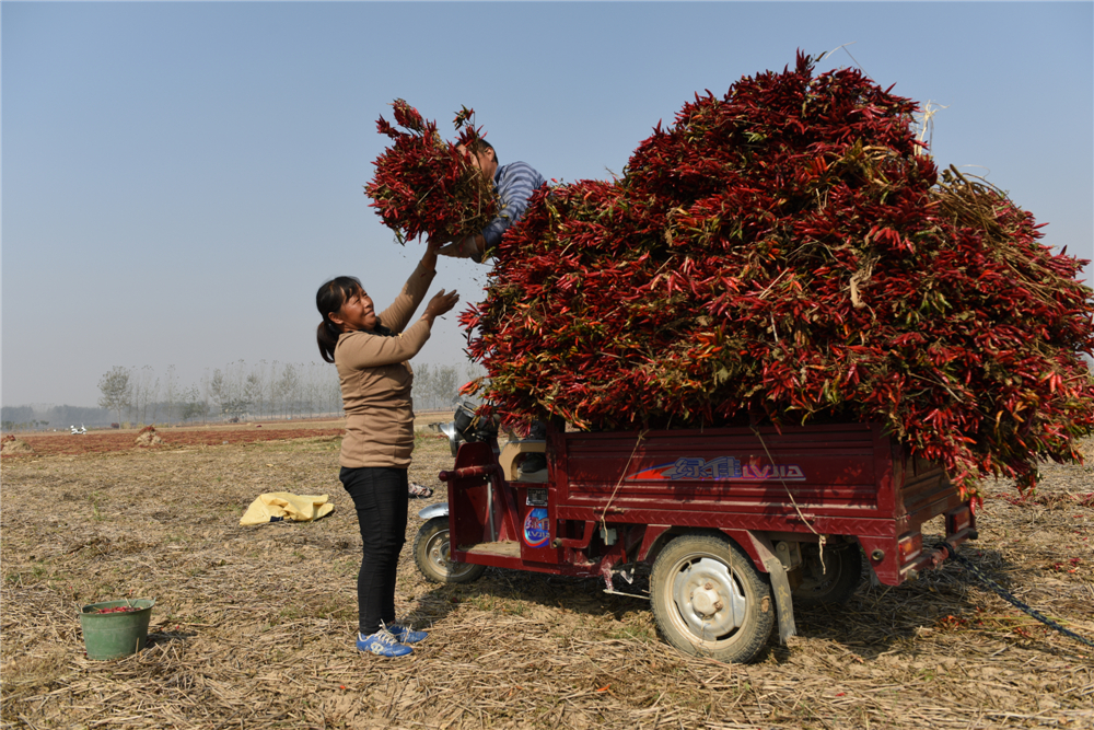 201510Ahtllո֒ղ