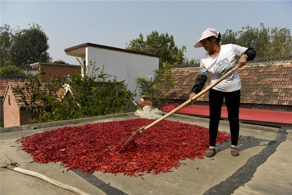 201510Ahtllո֒ղ