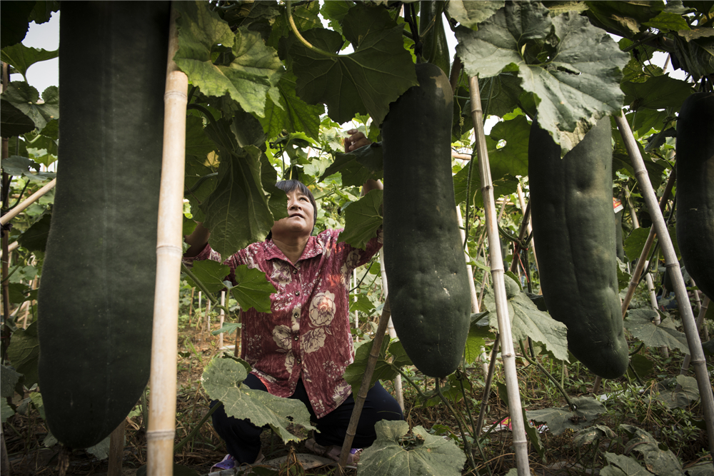 20197ǿhXlNֲĺڶƷNÿϿL60Ը߮aQ