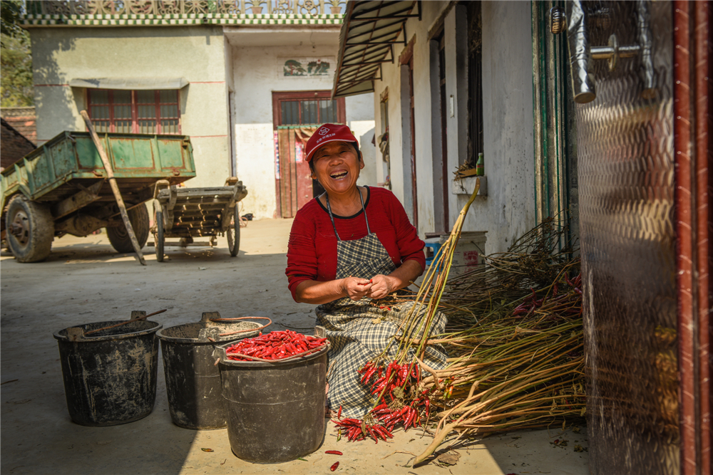 201510Ahtllո֒ղ