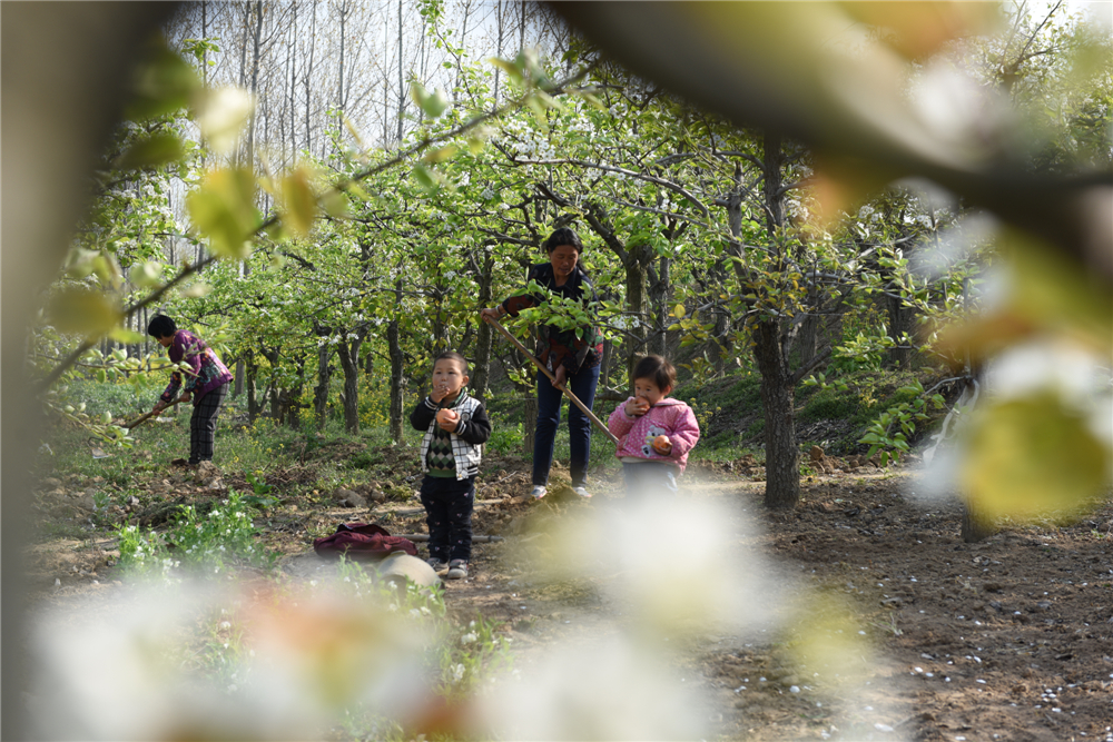 20169ů_헳дڹ@