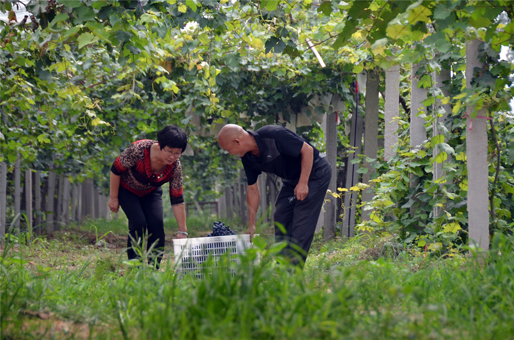 20148ˮhP悖|PѷNֲ@Dڲժ