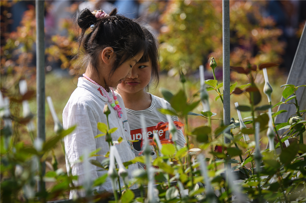 20184ˮhff͈@ܷNֲõ廨ժrӂĘϝMҸЦ