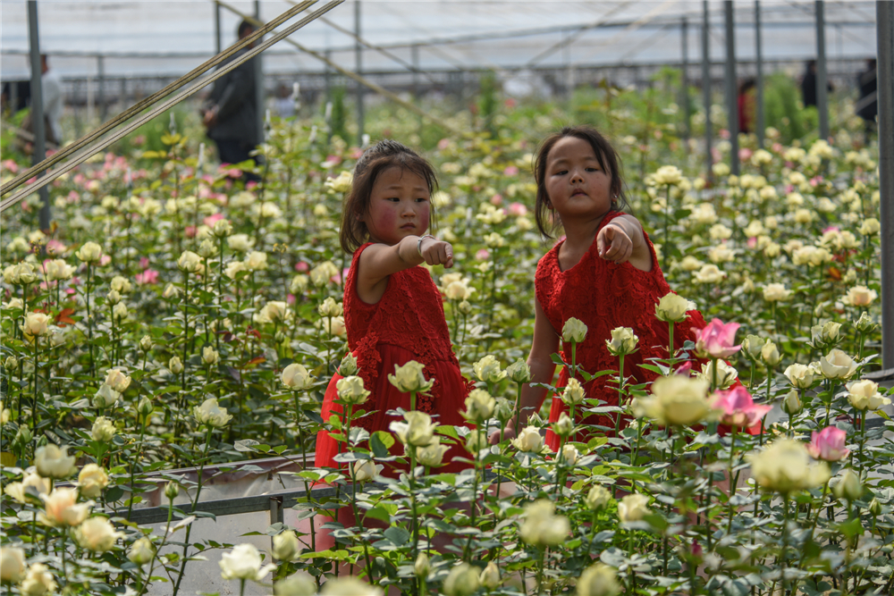 20184ˮhff͈@ܷNֲõ廨ժrӂĘϝMҸЦ