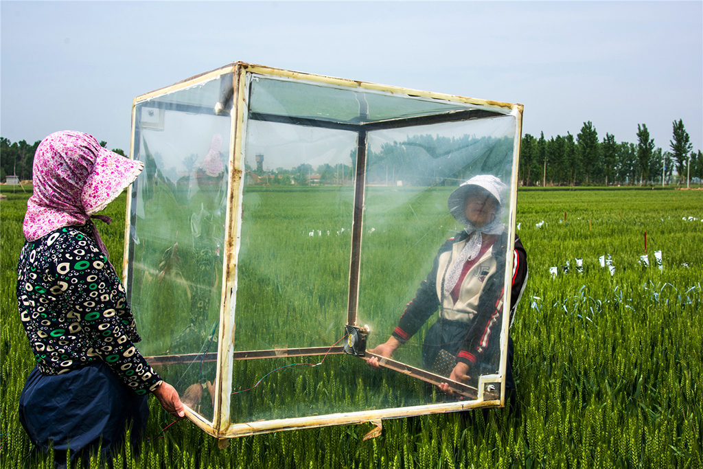 201856λҦfDŮˮѝվСÌʂ乤