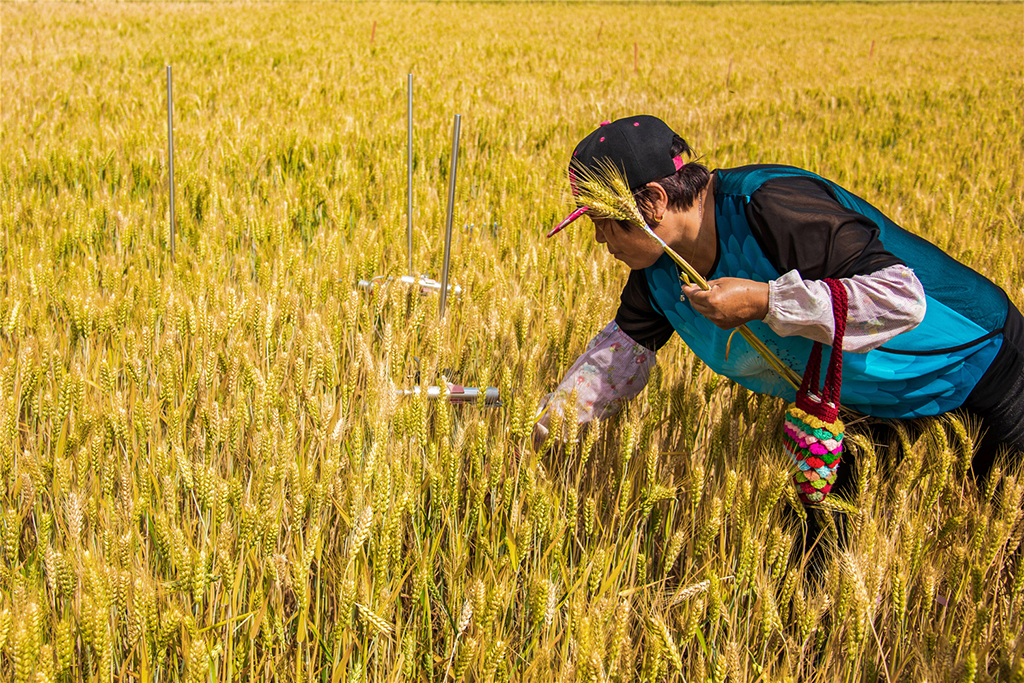 201962ֵС{ҦfDŮȡ˻ֲy{