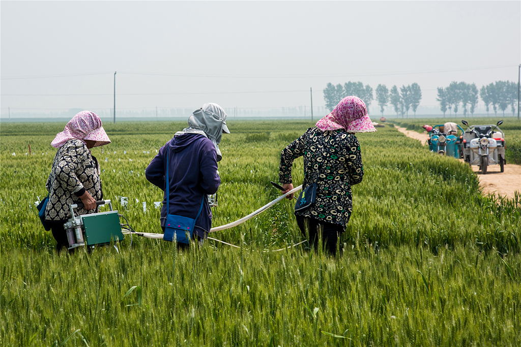 2018513ҦfDŮRĺ\