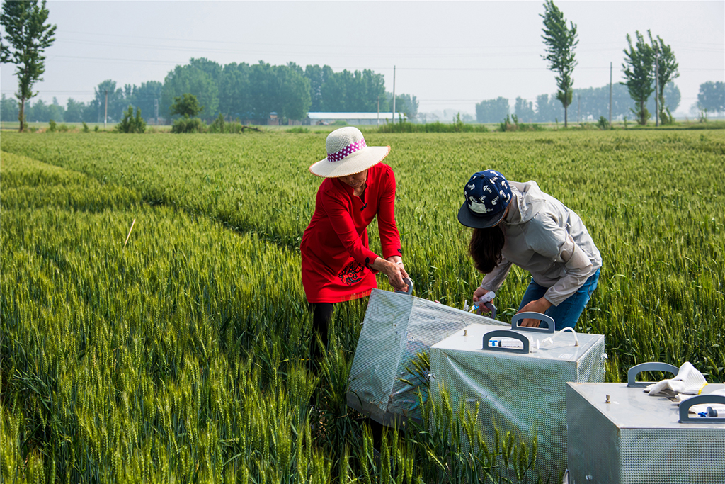 2018513fЇrоgyֲҚwŷŵČ