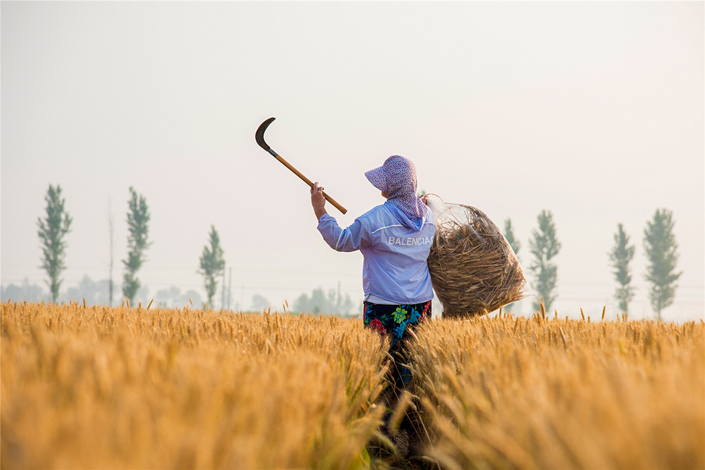 201964ȡСڜya