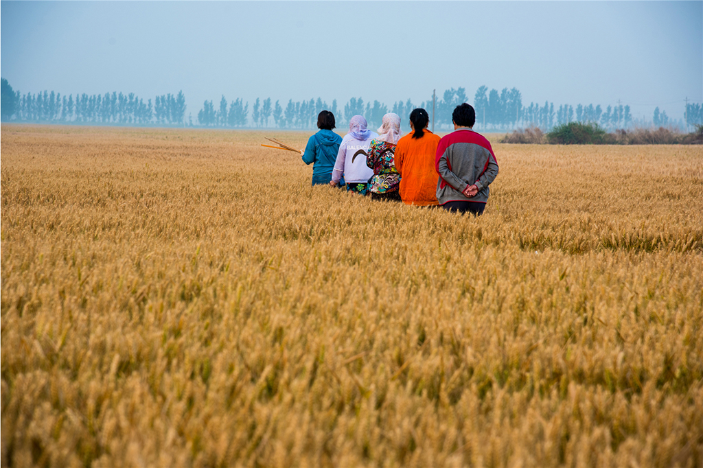 201964峿5cG÷ʿIҦfDŮСM_ʼ