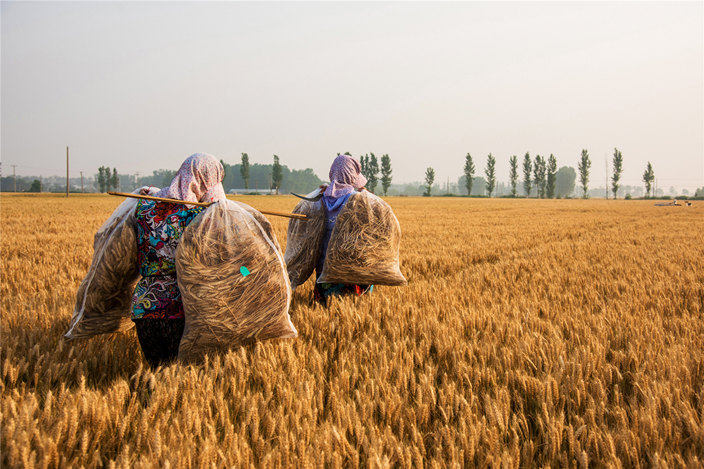 201964ҦfDŮСyaȡɺMdw