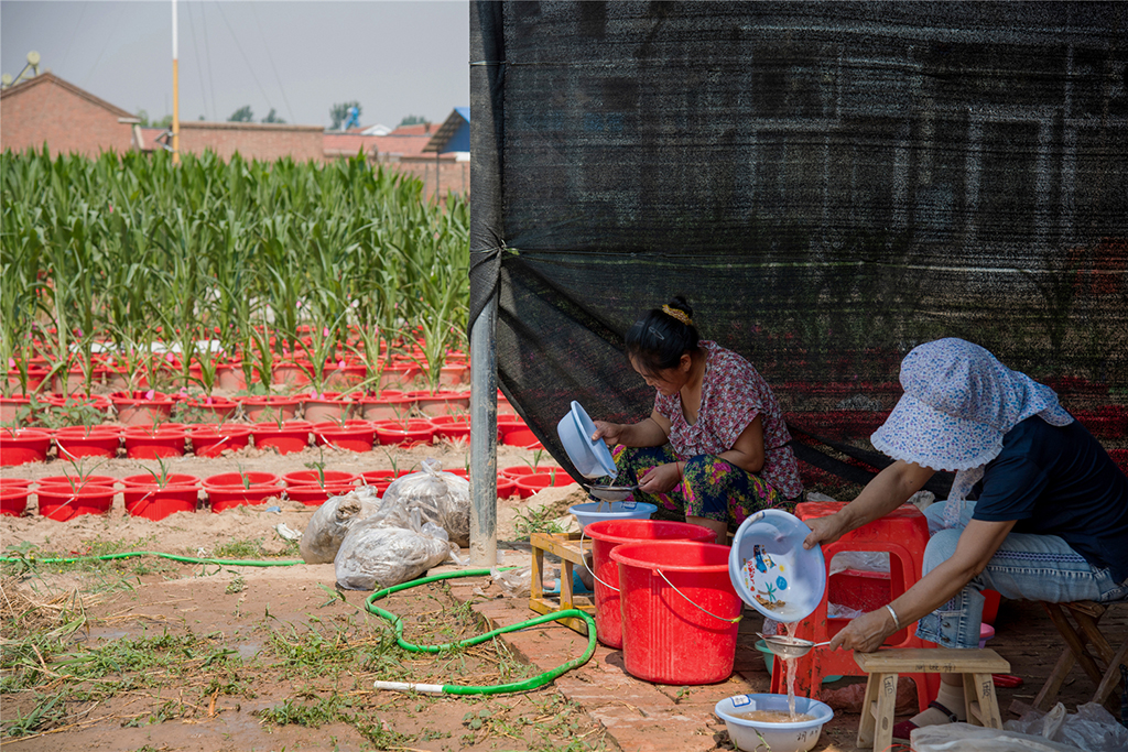 2019614С{ڛ_ϴϵ޳s|