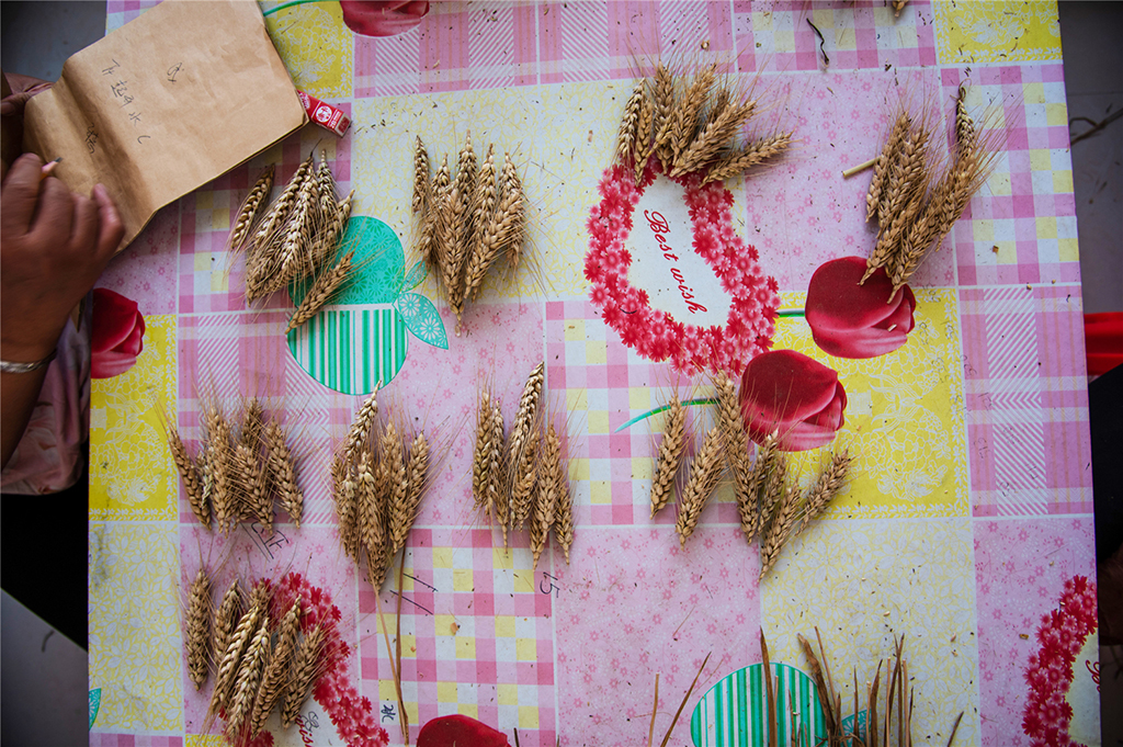 2019614ҦfDŮڌ҃ӛ䛲ͬƷNС