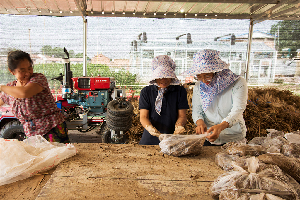 2019614ڸG÷ʿָҦfڱeСL