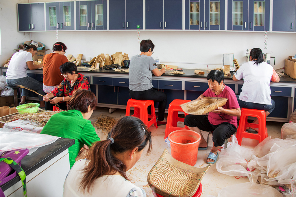 2019625G÷ʿIҦfƼСMڌҹ