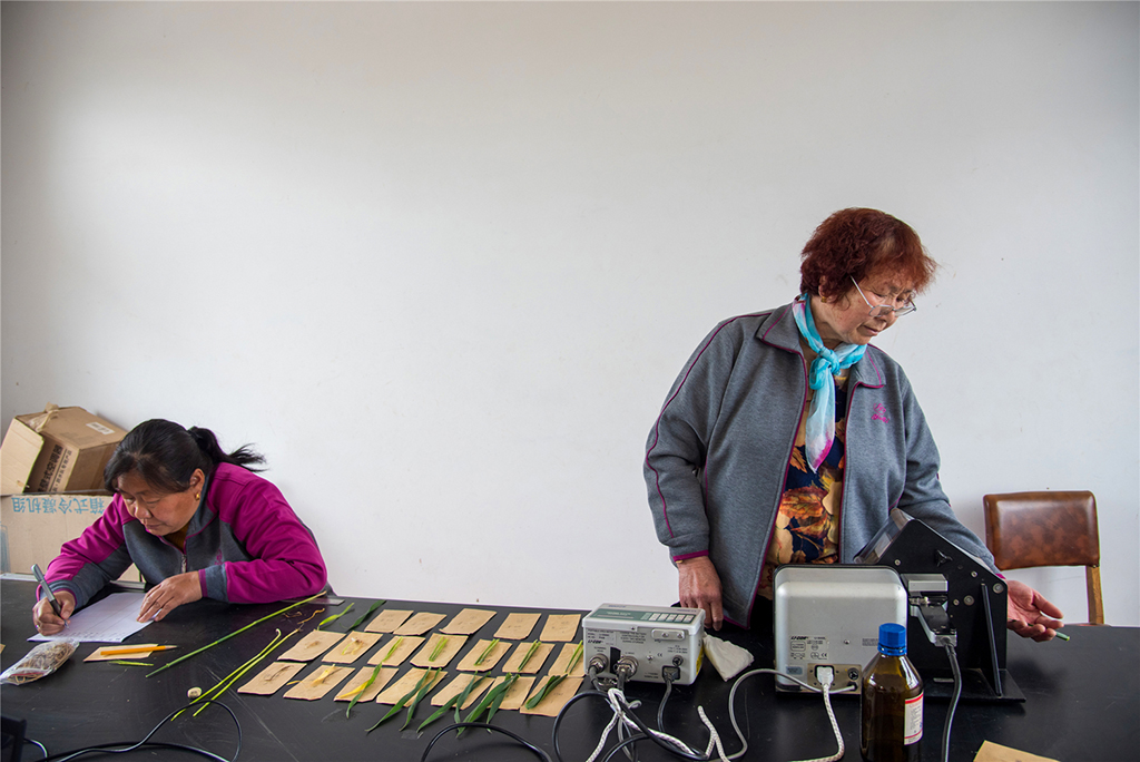 2020426СڌҜyÿƬ~~o