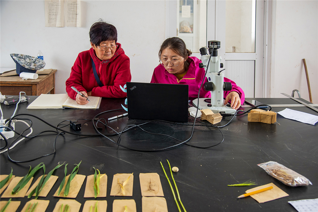 2020426СӌСMҦffG÷ʿyвӷСӛ䛜yԇ