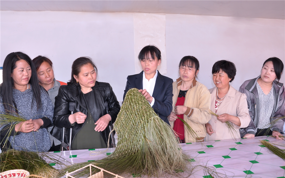 20174SPһӖWTʾݾ¼