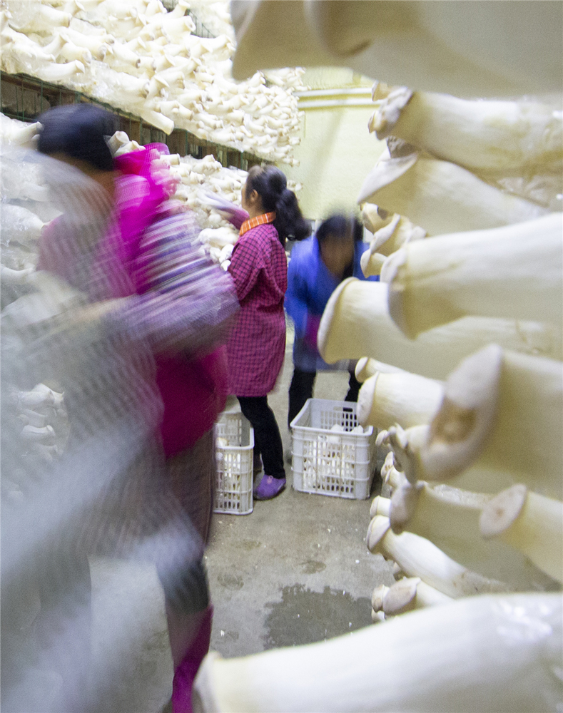 20205ræժĢ